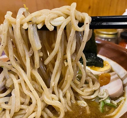 究極のにぼし味噌らーめん 人間ばんざいのラーメン写真