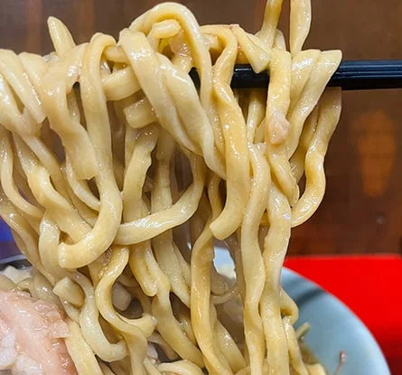 ラーメン二郎 新潟店のラーメン写真