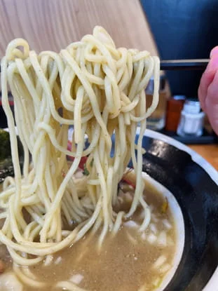 鶏煮干しそば きんぼしのラーメン写真